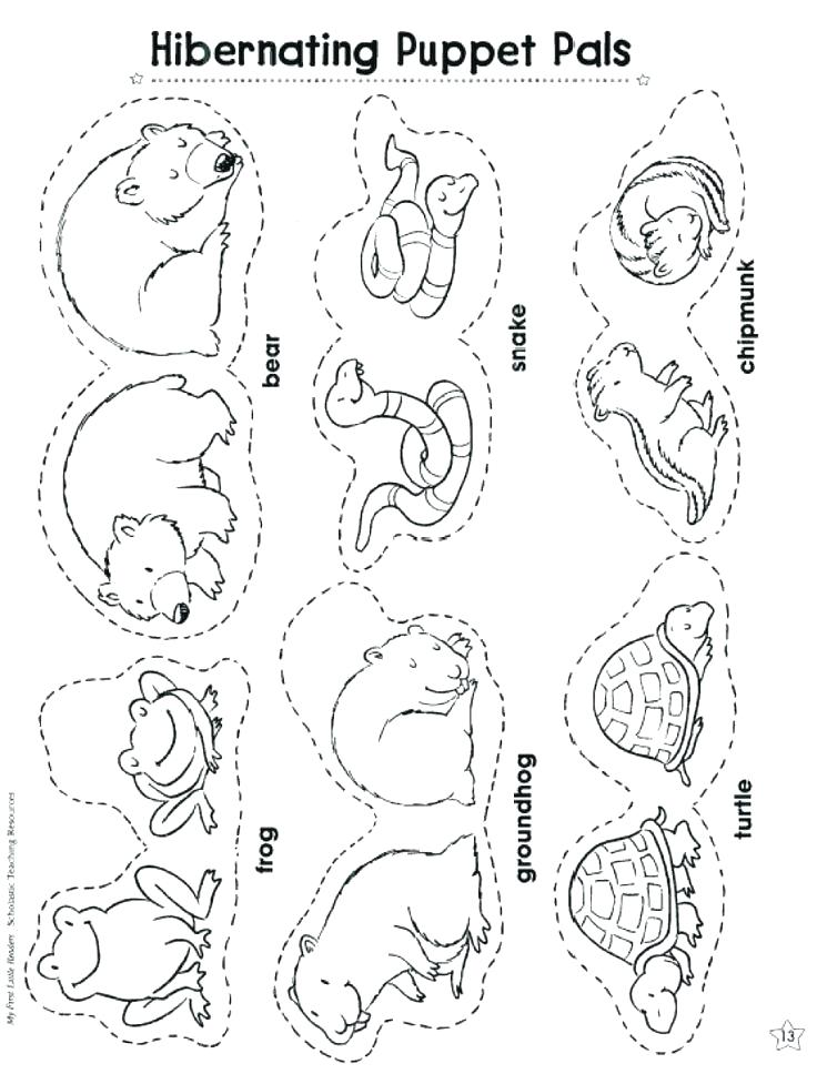 Arctic Hare Coloring Page Fuhrer Von 736x968 Arctic Hare Coloring Page Fuhrer Von