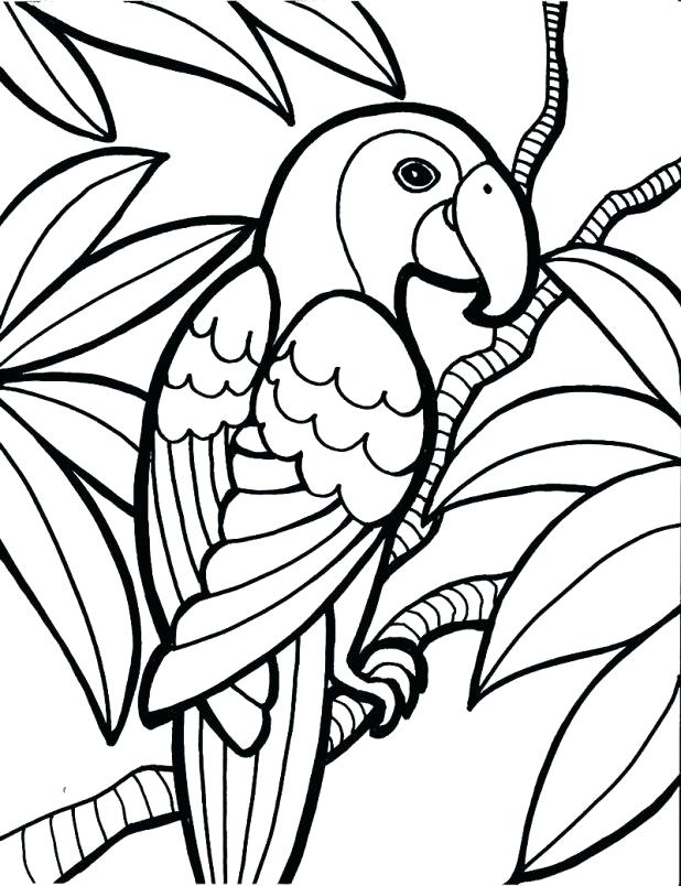Cardinal Coloring Pages Bird Coloring Pages Drawings Picture 618x804 Cardinal Coloring Pages Bird Coloring Pages Drawings Picture