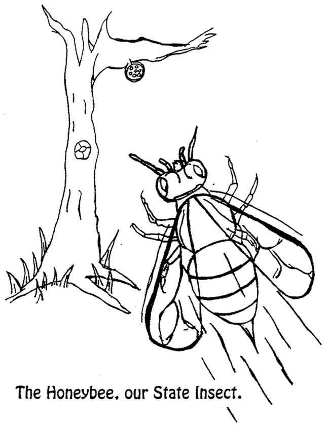 Coloring Pages Office Of The Governor Of Louisiana 647x843 Coloring Pages Office Of The Governor Of Louisiana