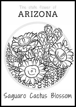 Free Arizona State Flower Coloring Page Saguaro Cactus Blossom 248x348 Free Arizona State Flower Coloring Page Saguaro Cactus Blossom