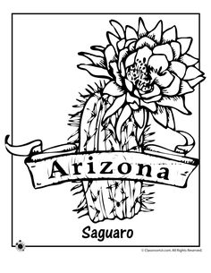 Indiana State Flower Coloring Worksheets, Worksheets And Geography 236x305 Indiana State Flower Coloring Worksheets, Worksheets And Geography