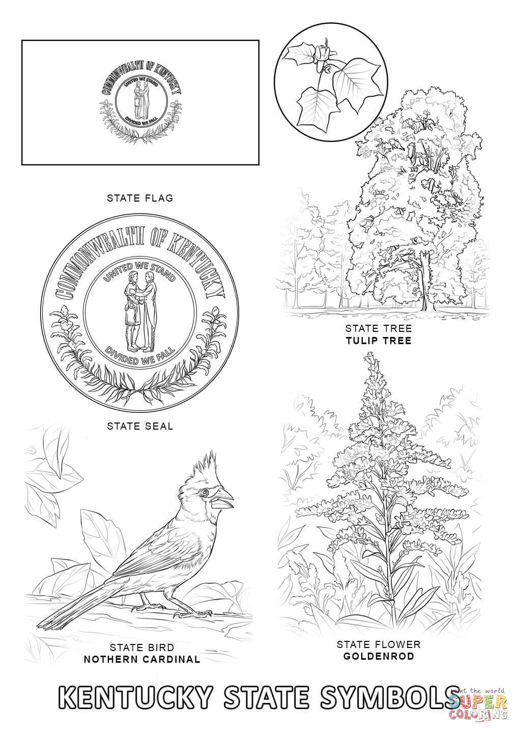 Kentucky State Symbols Coloring Page Free Printable Coloring Pages 1020x1440 Kentucky State Symbols Coloring Page Free Printable Coloring Pages