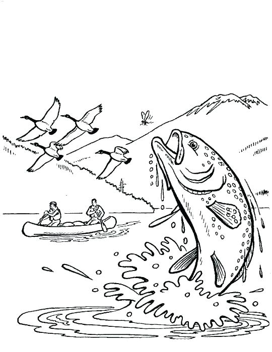 State Bird Coloring Pages 540x700 State Bird Coloring Pages