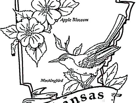 Plain Ideas College Football Coloring Pages Com Images Incredible 440x330 Plain Ideas College Football Coloring Pages Com Images Incredible