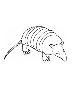 Armadillo Cartoon Pictures 236x288 Armadillo Cartoon Pictures