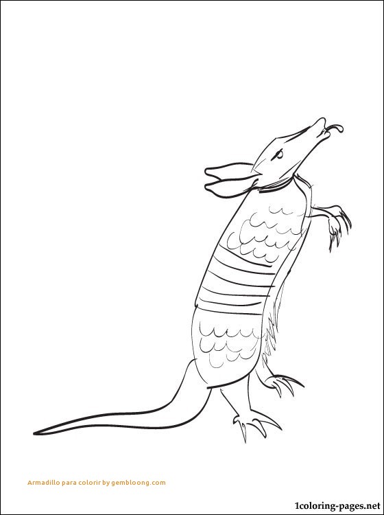 Armadillo Coloring Page New Armadillo Para Colorir 560x750 Armadillo Coloring Page New Armadillo Para Colorir