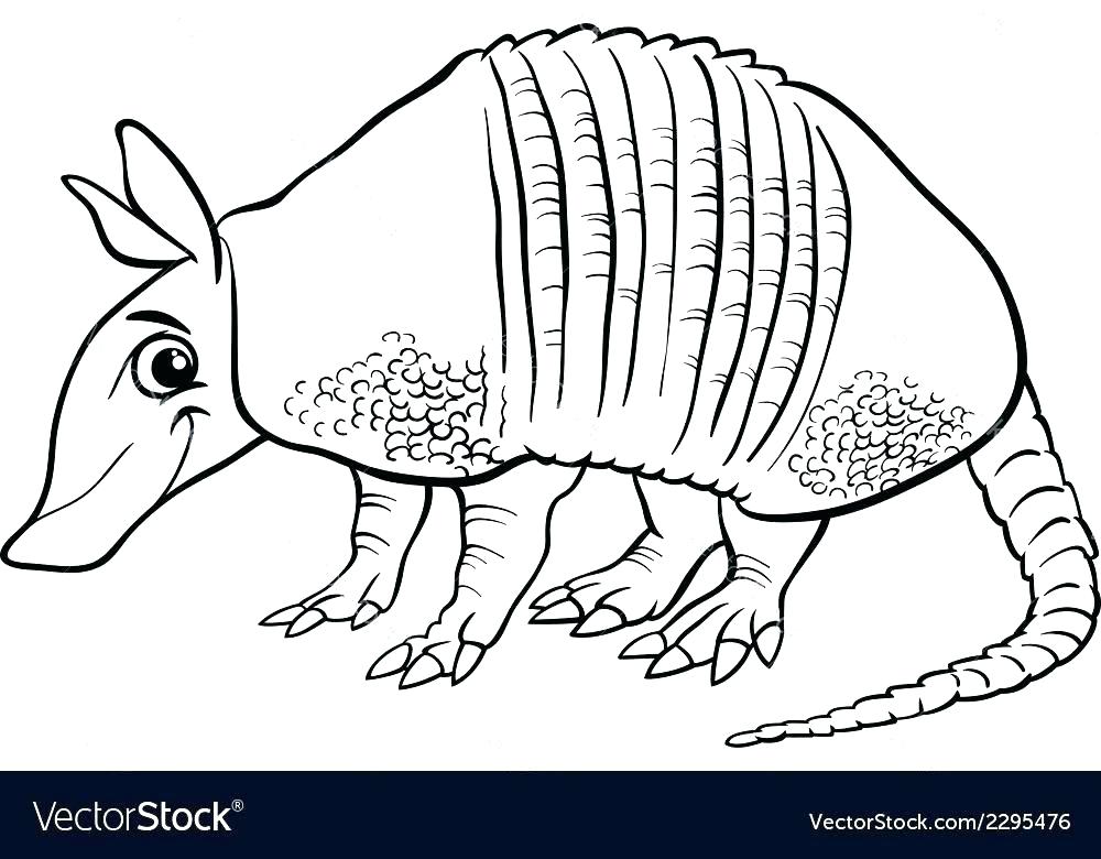Armadillo Coloring Page Rodeo Coloring Pages Armadillo Coloring 1000x780 Armadillo Coloring Page Rodeo Coloring Pages Armadillo Coloring