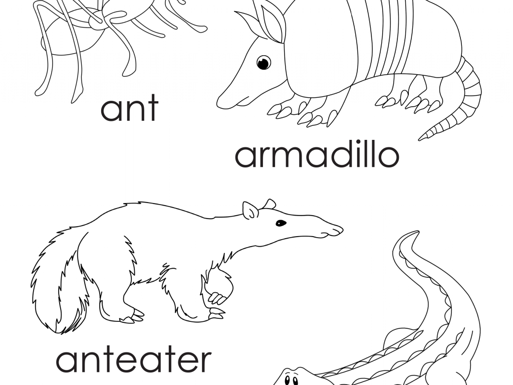 Armadillo Coloring Pages Free Printable Page Texas Cartoon 1024x768 Armadillo Coloring Pages Free Printable Page Texas Cartoon