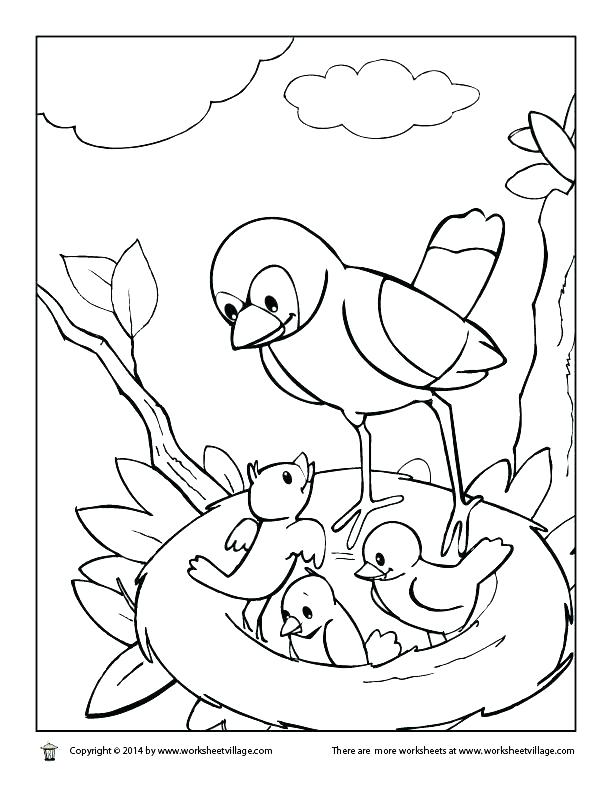 Armadillo Rodeo Coloring Page 612x792 Armadillo Rodeo Coloring Page