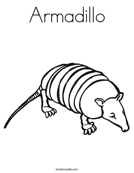 Armadillo Coloring Page 468x605 Armadillo Coloring Page