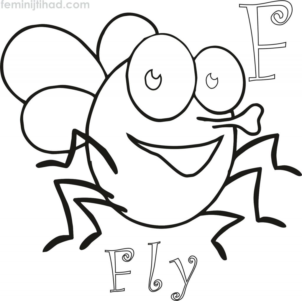Coloring Page ~ Armadillo Coloring Page Animated Fly Pages Free 1024x1021 Coloring Page ~ Armadillo Coloring Page Animated Fly Pages Free