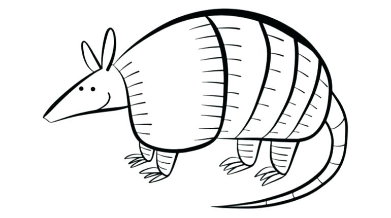 Armadillo Coloring Page Best Of Armadillo Coloring Page Pictures 770x430 Armadillo Coloring Page Best Of Armadillo Coloring Page Pictures