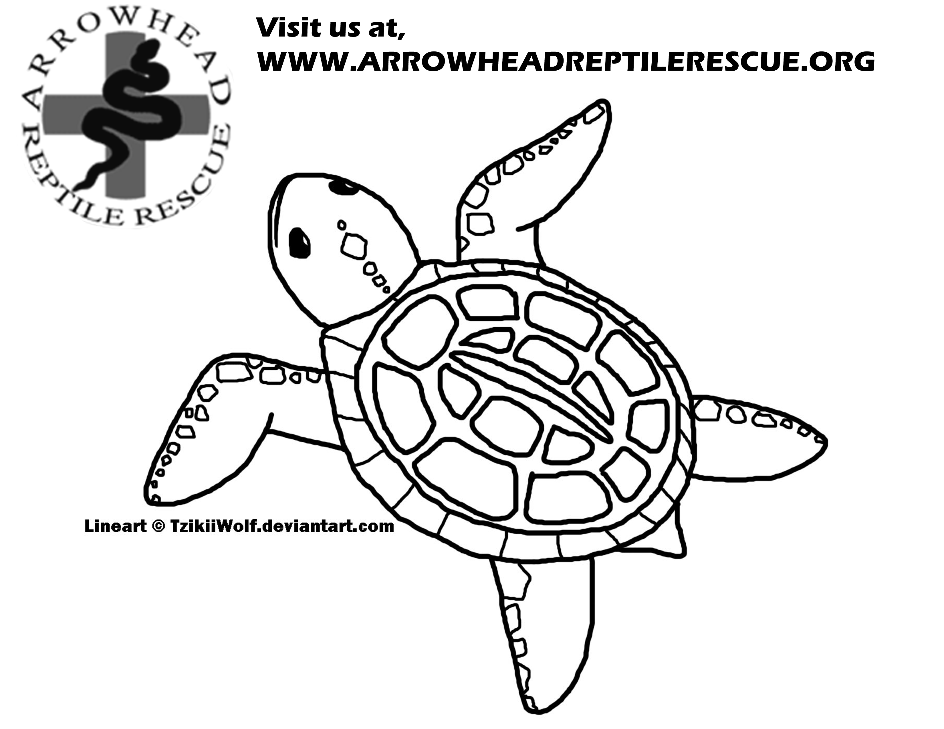 Arrowhead Reptile Rescue 3300x2550 Arrowhead Reptile Rescue