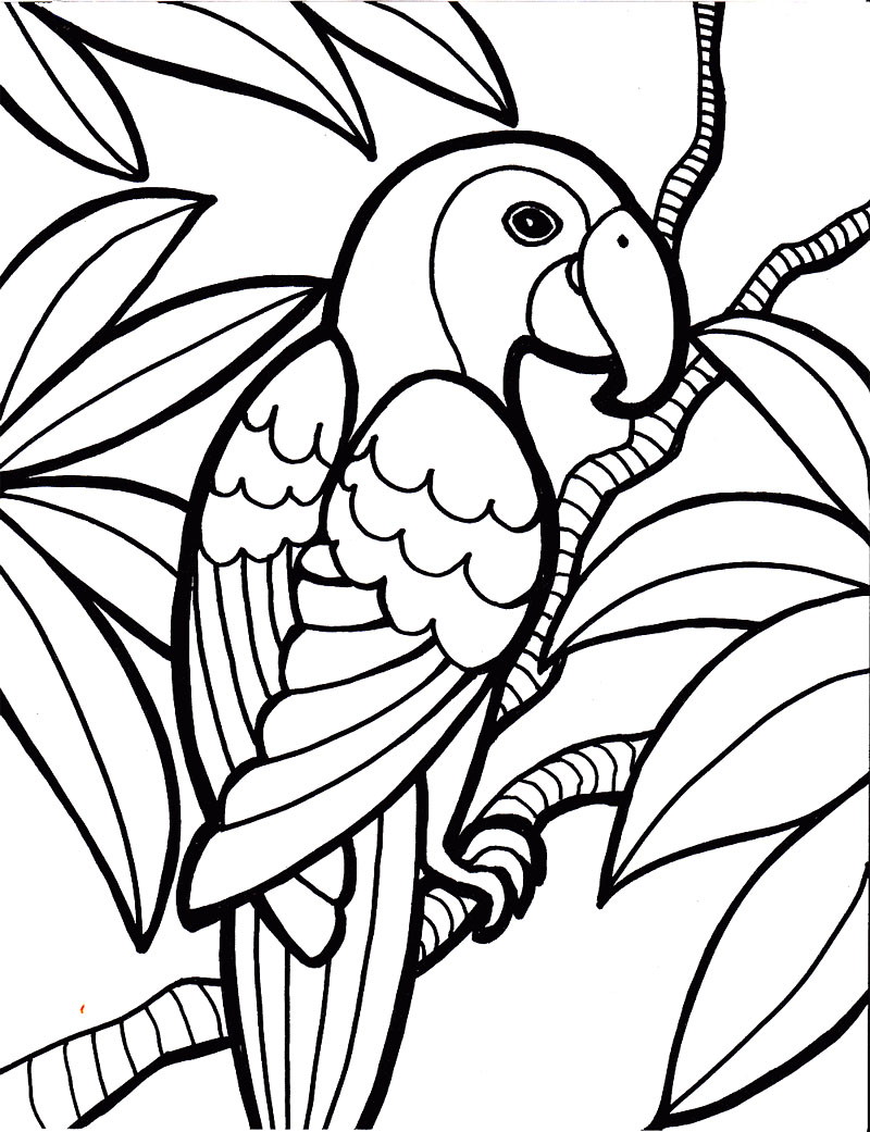 800x1041 Bird Coloring Pages Rallytv Org Amazing My Little Pony Pictures 3