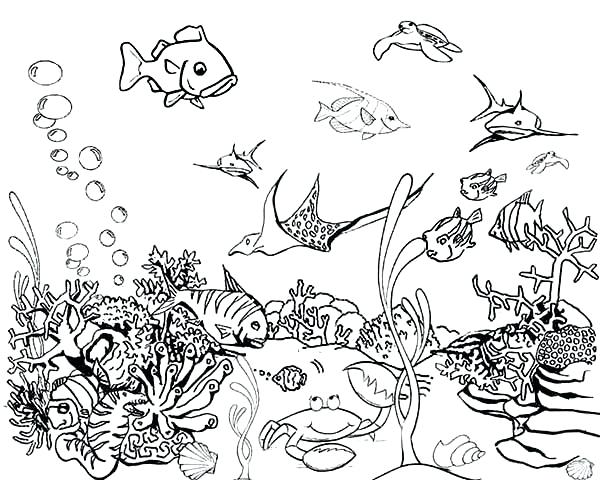Fish Coloring Pictures Tropical Fish Tank Coloring Page Fish 600x480 Fish Coloring Pictures Tropical Fish Tank Coloring Page Fish