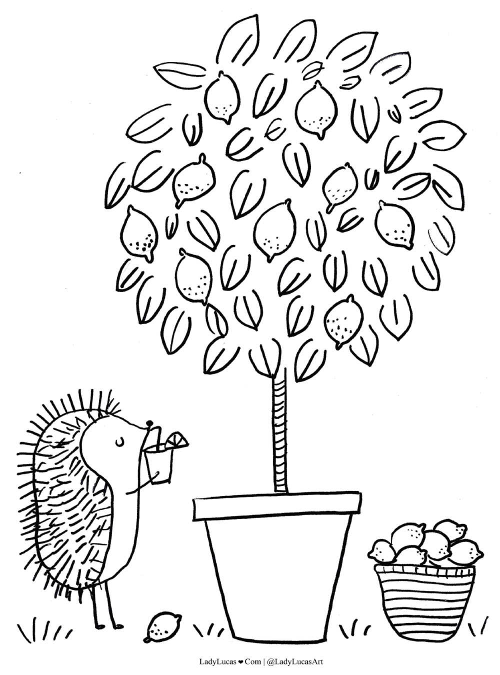 1000x1350 The Magical Garden Coloring Book Paperback By Ashley Lucas Free