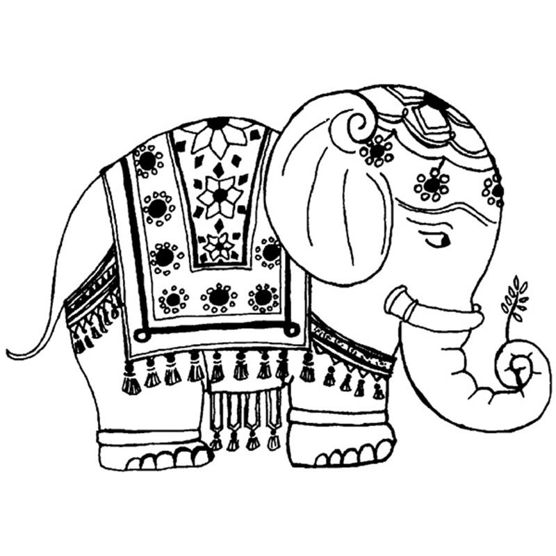 800x800 Asian Elephant Clipart Coloring Page