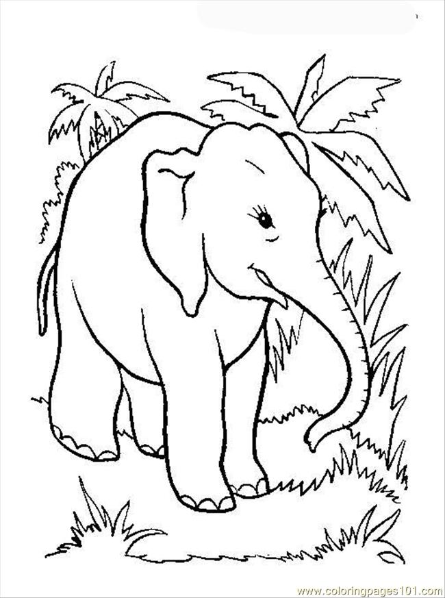 650x873 Elephant Coloring Page 12 Coloring Page