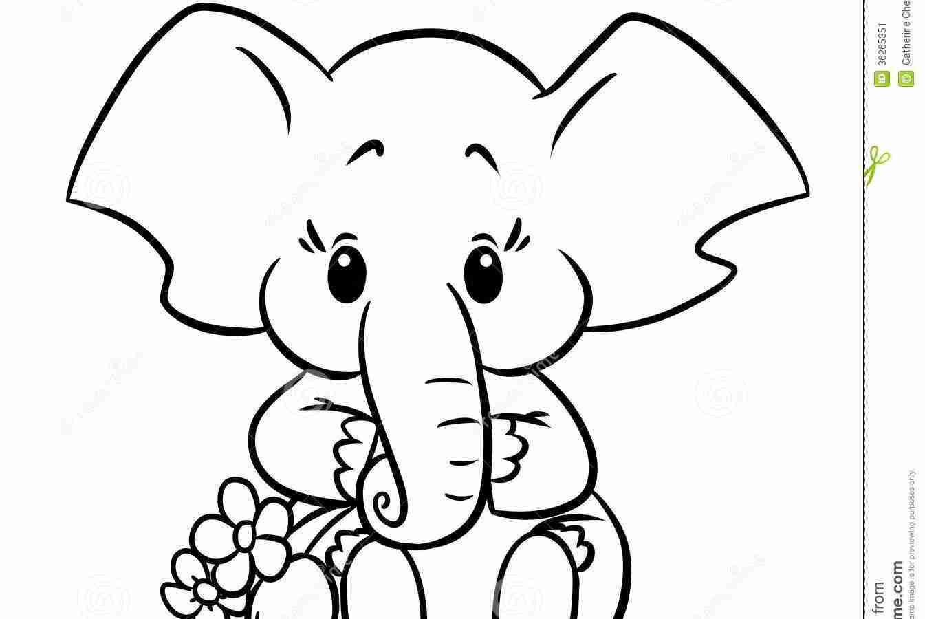 1345x900 Asian Elephant Clipart Coloring Sheet Pencil And In Color
