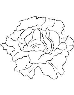 Asparagus Coloring Page Printables Asparagus 236x305 Asparagus Coloring Page Printables Asparagus