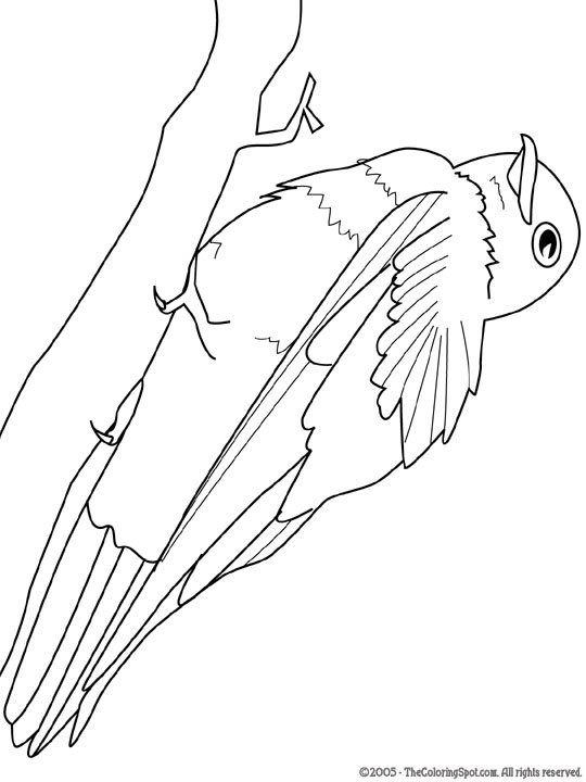 Purple Martin Coloring Page 540x720 Purple Martin Coloring Page