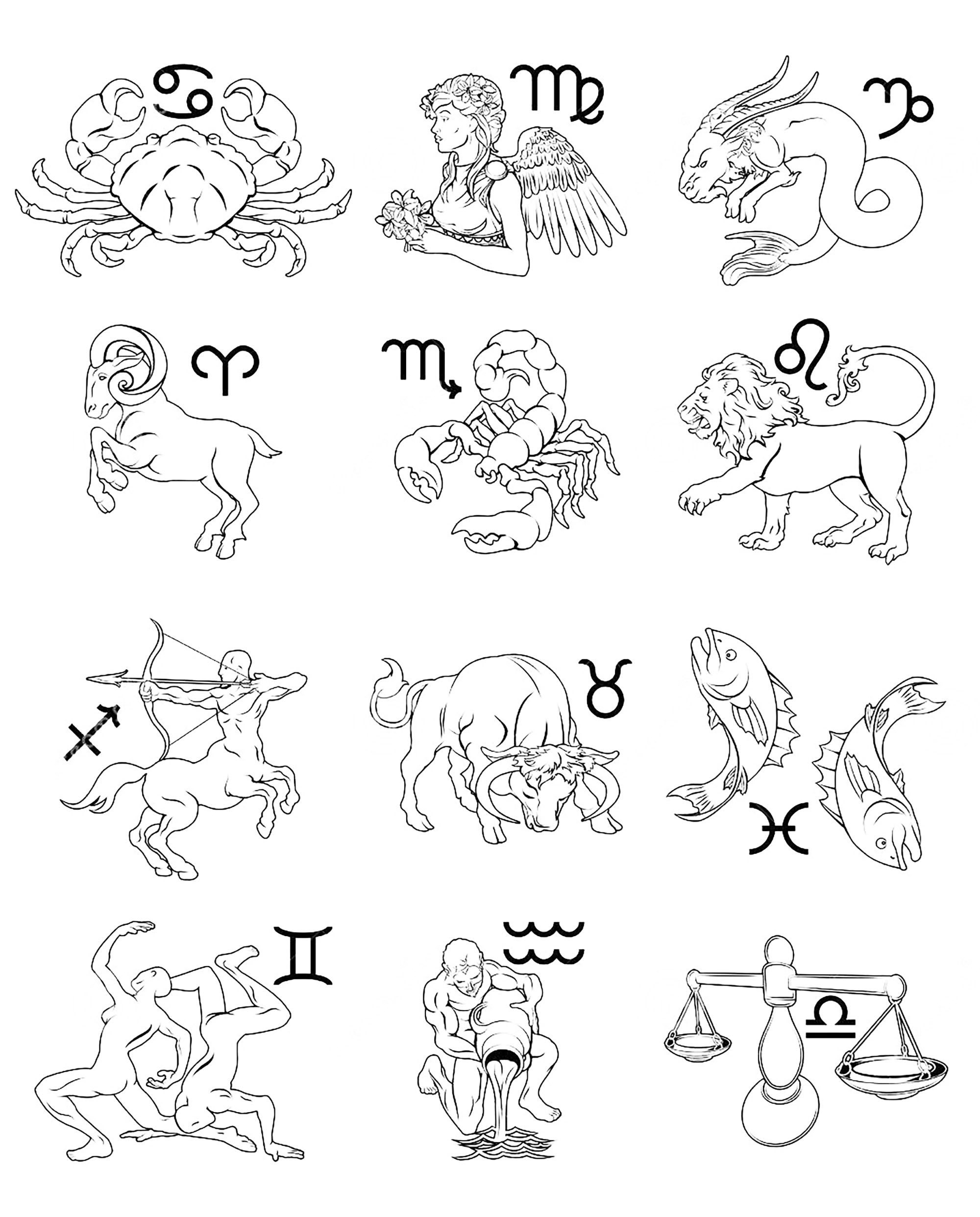 Zodiac Signs Astrology Horoscope 2000x2483 Zodiac Signs Astrology Horoscope