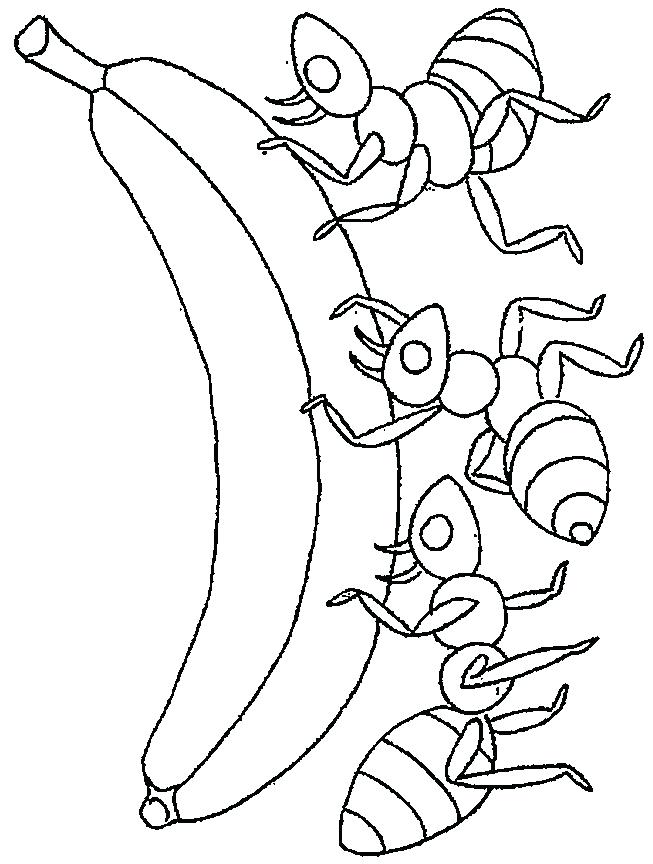 653x864 Ant Coloring Pages Ant Coloring Pages Ants Coloring Page For Kids