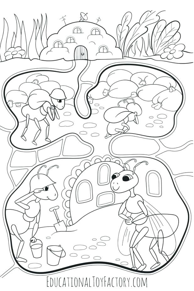 618x927 Ants Coloring Pages Ants Coloring Page Ant Man Sheets Pages