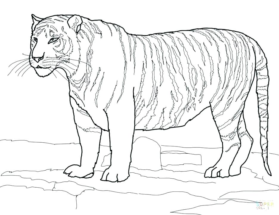 936x722 Tiger Coloring Sheet Cute Tiger Cub In Cartoon Coloring Page Tiger