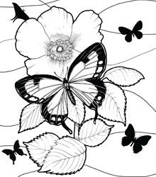 Dover Colar App 220x250 Dover Colar App