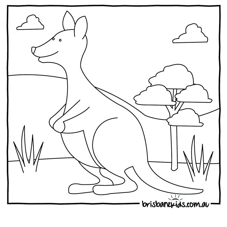 736x736 Australian Animals Coloring Pages Animals Colouring Pages