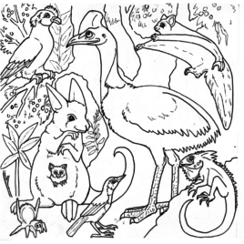268x268 Forest Animals Coloring Pages Coloring Sheets Australian Animals