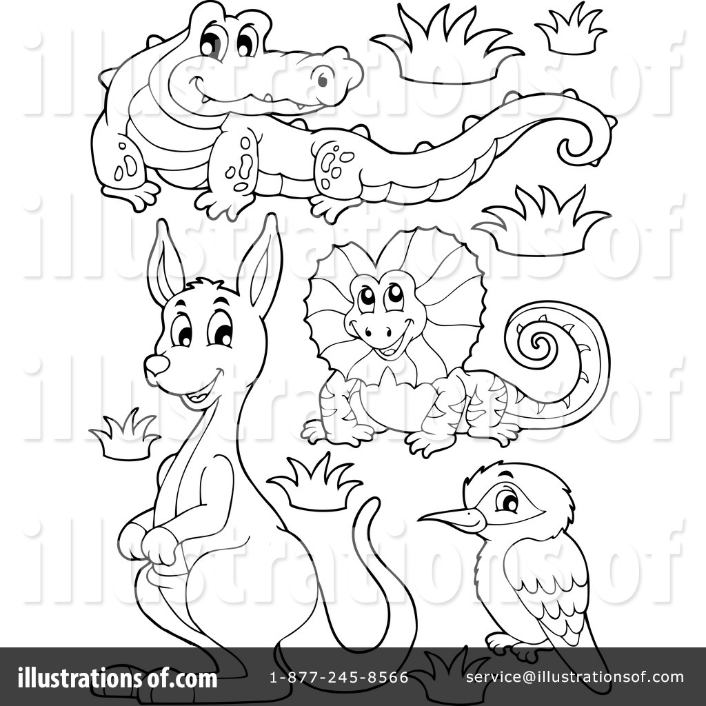 1024x1024 Unique Australian Animal Colouring Sheets Anim