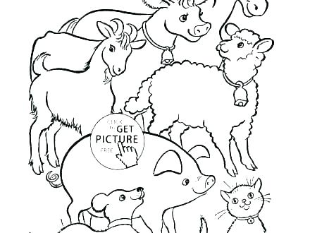 440x330 Childrens Coloring Pages Animals Vanda