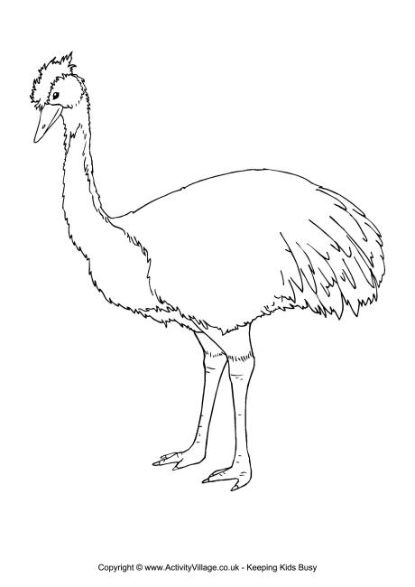 460x650 Australian Animal Colouring Pages