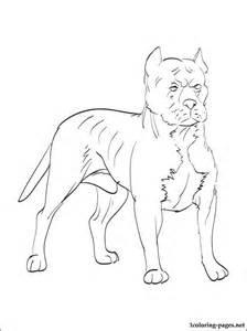 Australian Cattle Dog Coloring Online, Blue Dog Coloring Page 224x300 Australian Cattle Dog Coloring Online, Blue Dog Coloring Page