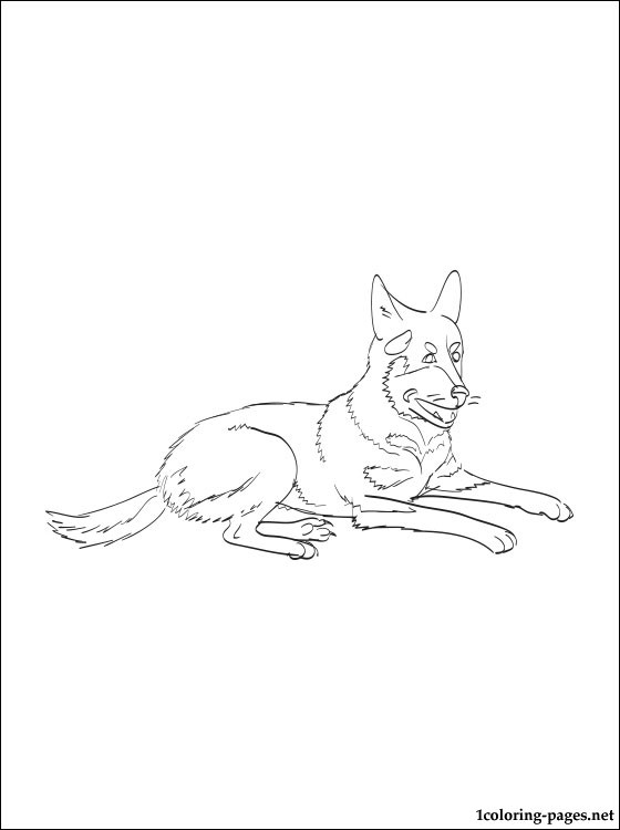 Australian Cattle Dog Coloring Page Coloring Pages 560x750 Australian Cattle Dog Coloring Page Coloring Pages
