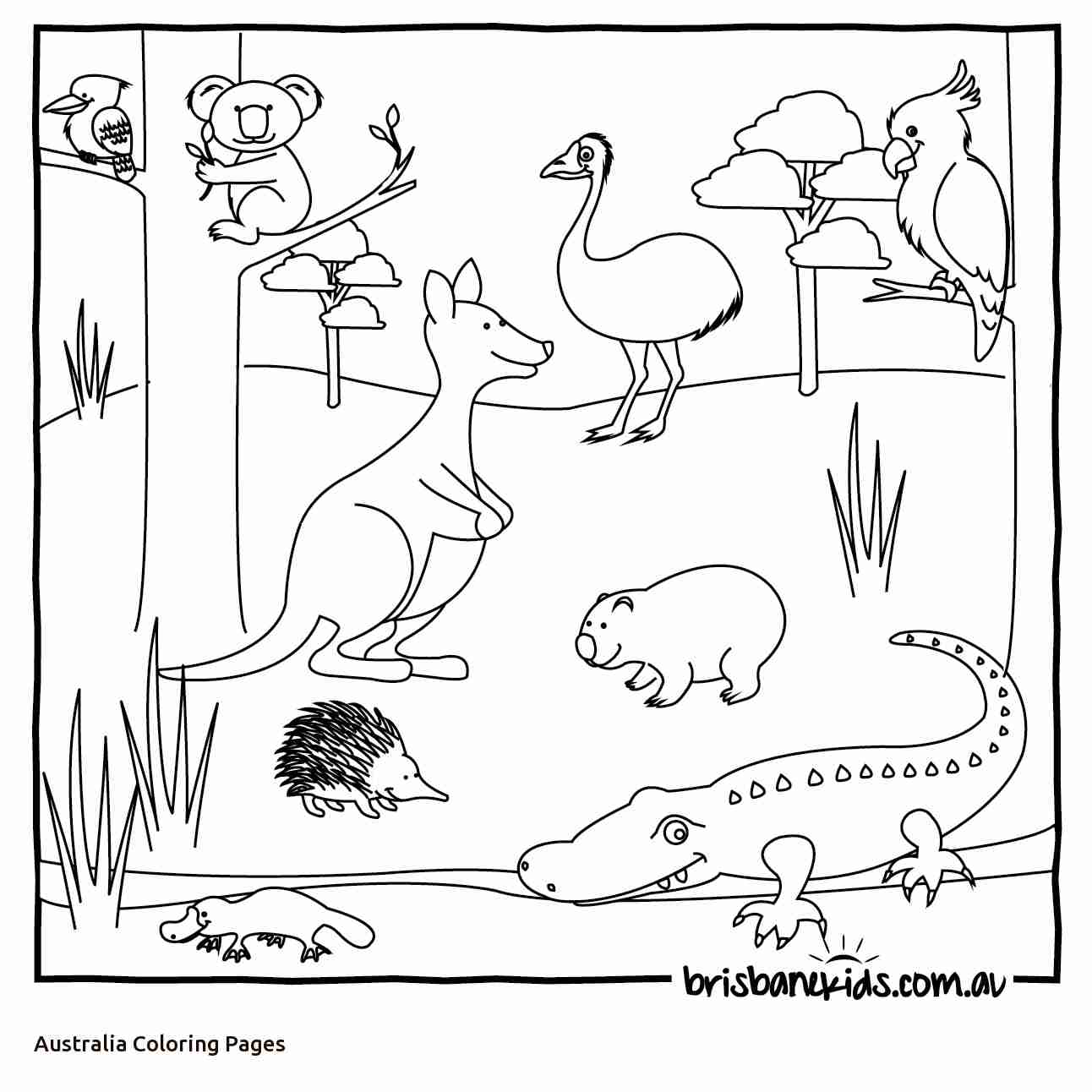 1292x1292 Australian Animals Colouring Pages Brisbane Kids Beautiful