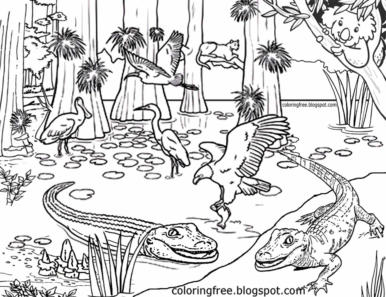 1300x1000 Australia Coloring Pages Australian Animals Colouring Brisbane