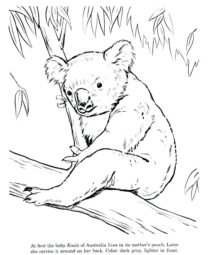Australian Flag Coloring Page Flag Coloring Page Coloring Pages 670x820 Australian Flag Coloring Page Flag Coloring Page Coloring Pages