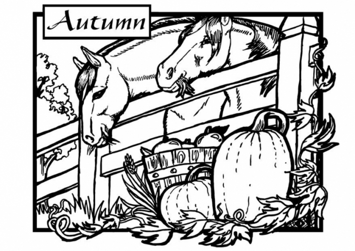 Fall Coloring Pages For All Ages 712x504 Fall Coloring Pages For All Ages