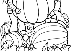 Kindergarten Fall Worksheets Amp Free Printables 250x180 Kindergarten Fall Worksheets Amp Free Printables