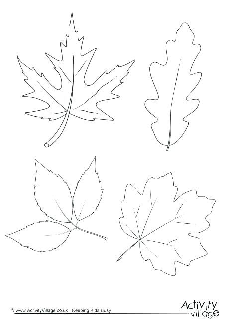 460x650 Autumn Leaves Coloring Pages