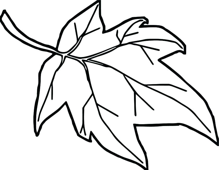 840x653 Leaves Coloring Pages