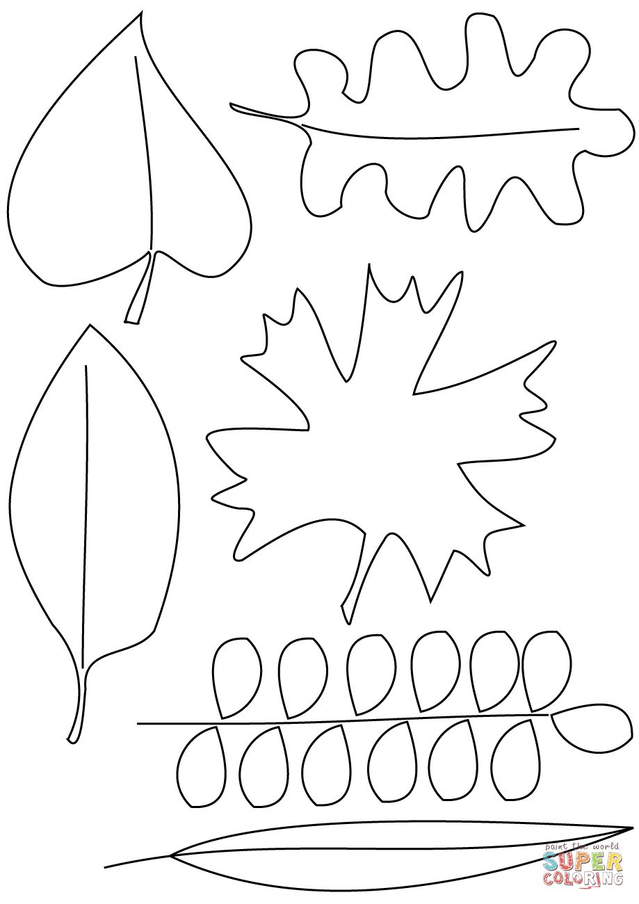 919x1300 Autumn Leaves Coloring Pages 8