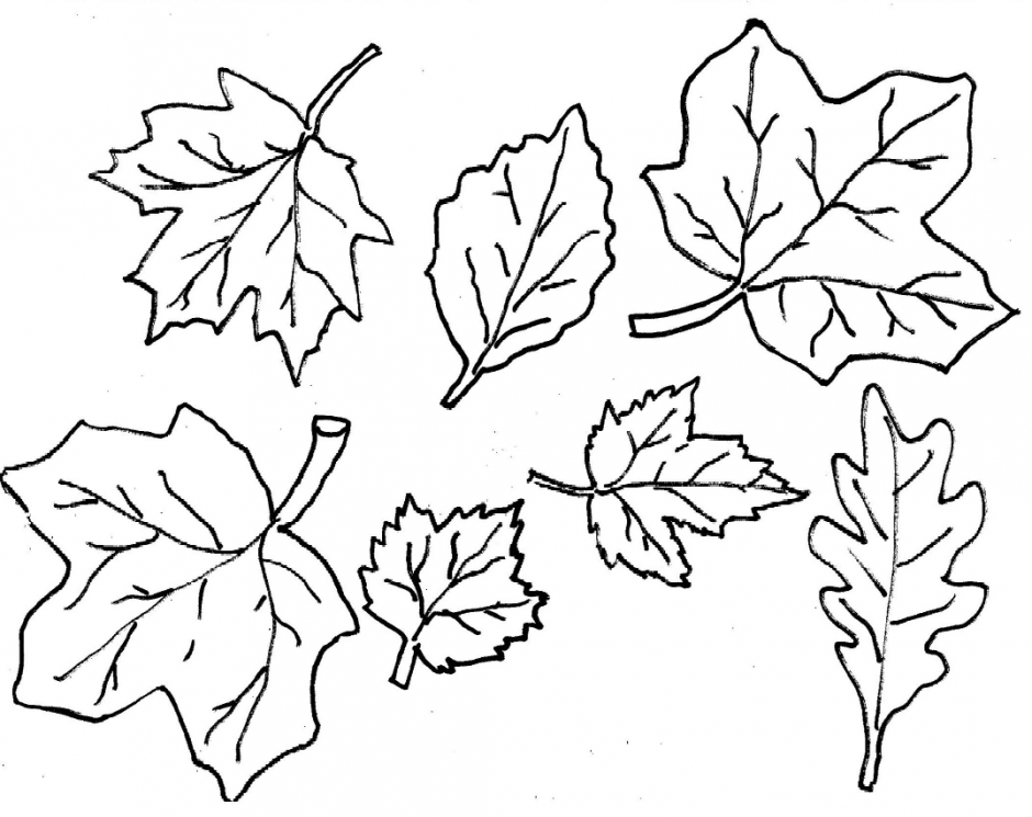 940x745 Autumn Leaves Coloring Pages Fall Season 22 Nature Printable