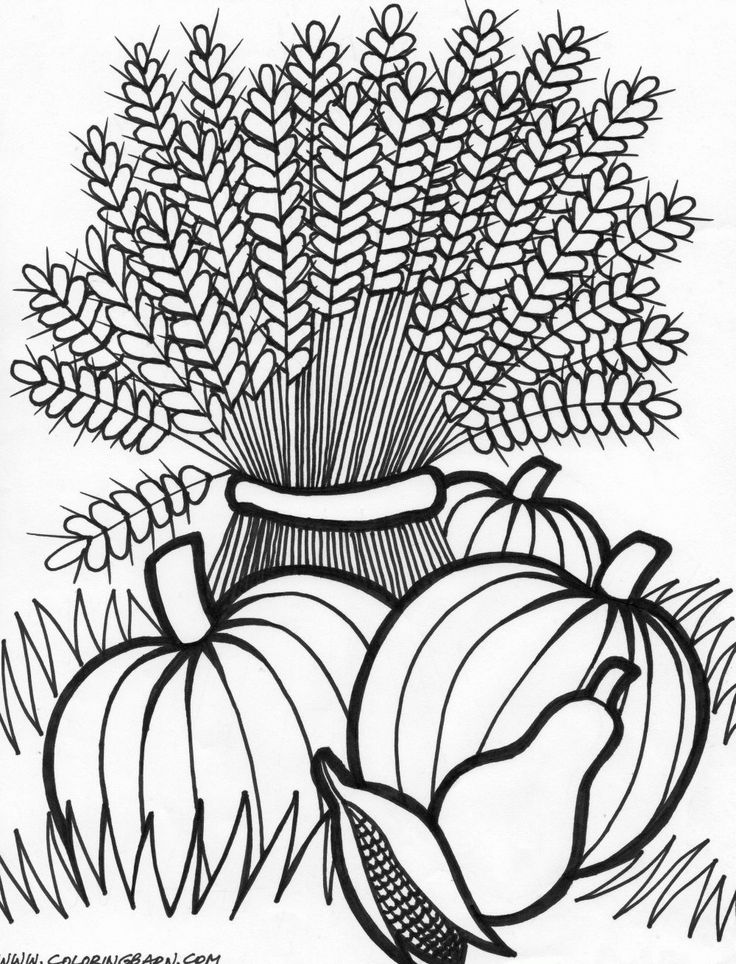Printable Fall Scenes Coloring Page 736x964 Printable Fall Scenes Coloring Page