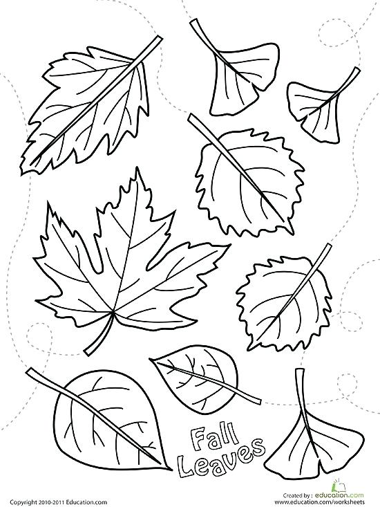Thanksgiving For Kids Printable Fall Coloring Pages Printable Fall 550x733 Thanksgiving For Kids Printable Fall Coloring Pages Printable Fall