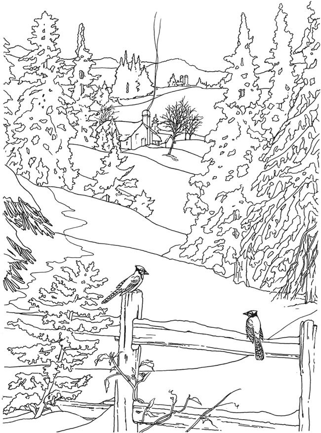 Winter Landscape Coloring Pages On Coloring Book Flip Through 650x877 Winter Landscape Coloring Pages On Coloring Book Flip Through