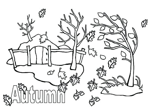 Leaf Coloring Pages Printable Autumn Season With Fall Leaf 600x450 Leaf Coloring Pages Printable Autumn Season With Fall Leaf